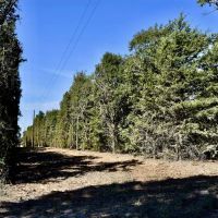 County Road 187 images 3