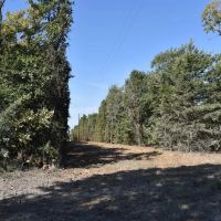 County Road 187 images 4