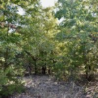 County Road 187 images 5