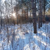 200-acre tract of land with a lot of diversity in Juneau County Wisconsin images 3