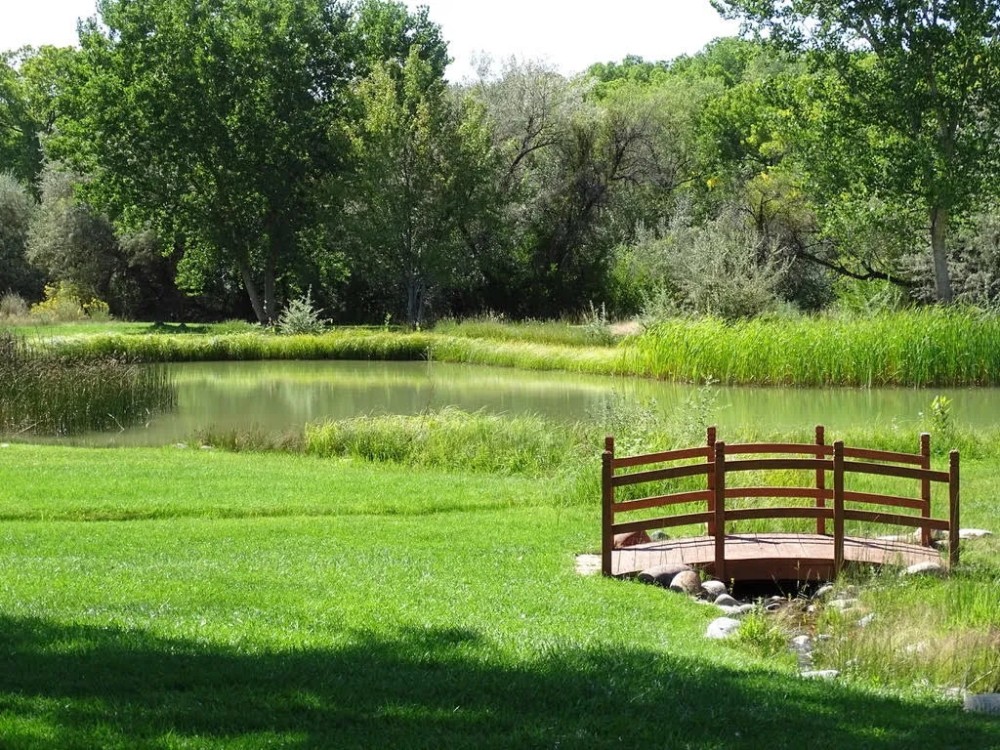 Animas Riverfront Paradise featured image