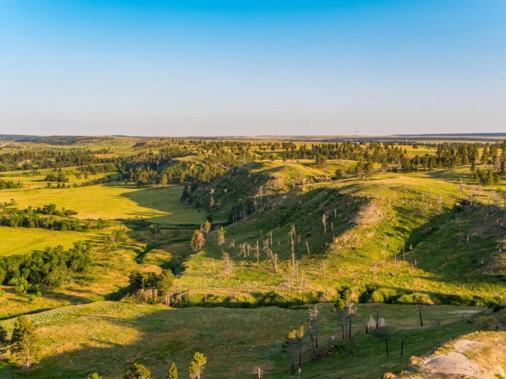 Tower View Ranch featured image