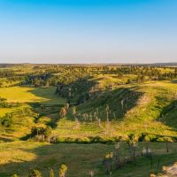 Tower View Ranch