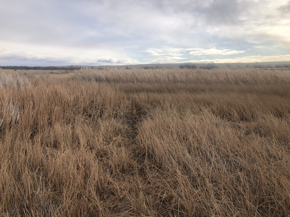 South Wagner Ranch featured image