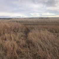 South Wagner Ranch