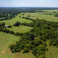 255 - Acres Highway Frontage Pasture Hay Fields Ponds Sage Arkansas images 4