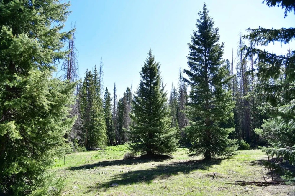 The Ten Five Ranch featured image