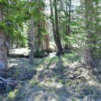 The Ten Five Ranch images 3