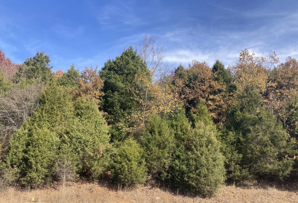 E State Road 64 Marengo featured image