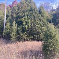 E State Road 64 Marengo images 2