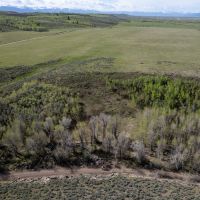 TBD REECE RD Felt ID 83424 images 3