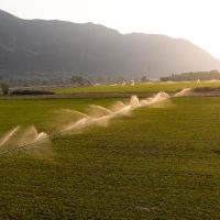 Farm on the Colorado images 4