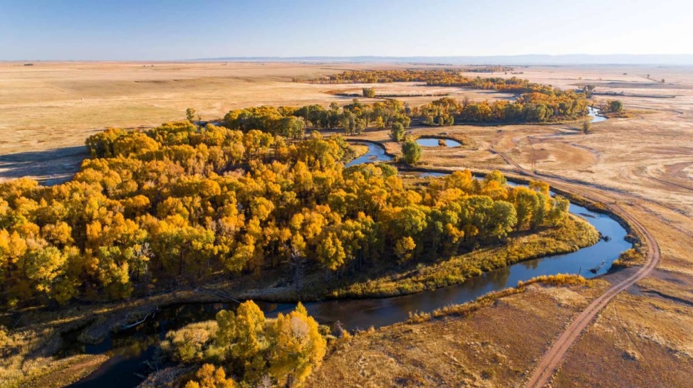 Flying Y Ranch featured image