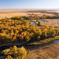 Flying Y Ranch
