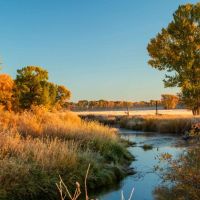 Flying Y Ranch images 3