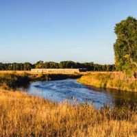 Flying Y Ranch images 4