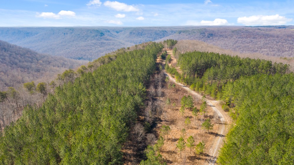 Recreational Land With State Park Frontage featured image
