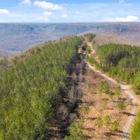 Recreational Land With State Park Frontage
