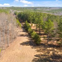 Recreational Land With State Park Frontage images 2