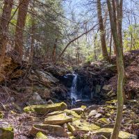 Recreational Land With State Park Frontage images 4