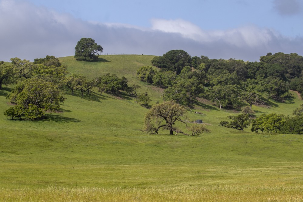 Sargent Ranch North featured image