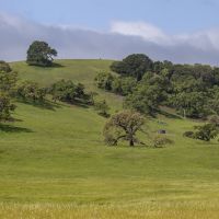 Sargent Ranch North