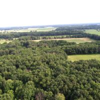 Prime Hunting Land for Lease