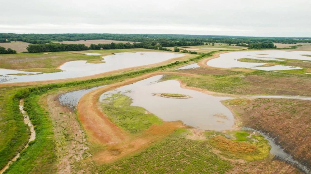 258 Acres Near West Helena featured image