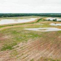 258 Acres Near West Helena images 2