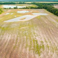 258 Acres Near West Helena images 4