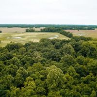 258 Acres Near West Helena images 5