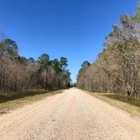 112 Acres Palmer Rd. images 5