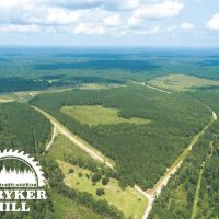 61 Acres T-7 Stryker Mill