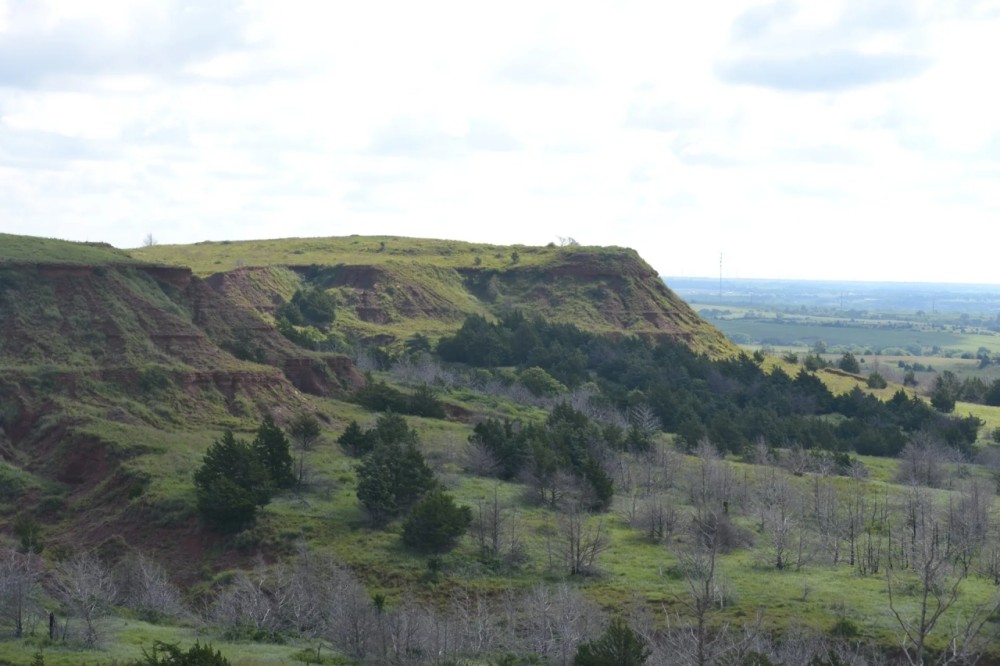 Painted Gyp Hills Pasture featured image