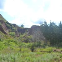 Painted Gyp Hills Pasture images 2