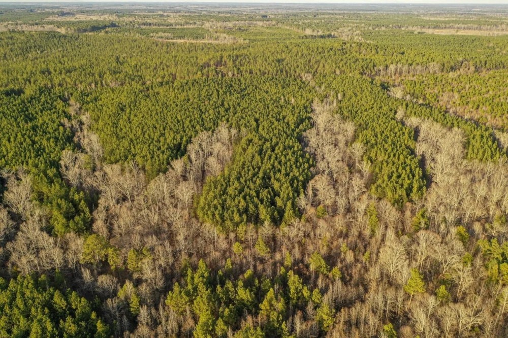 81 - Acres Winston County MS featured image