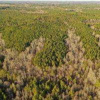 81 - Acres Winston County MS