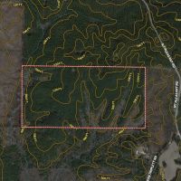 81 - Acres Winston County MS images 2