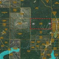 81 - Acres Winston County MS images 4