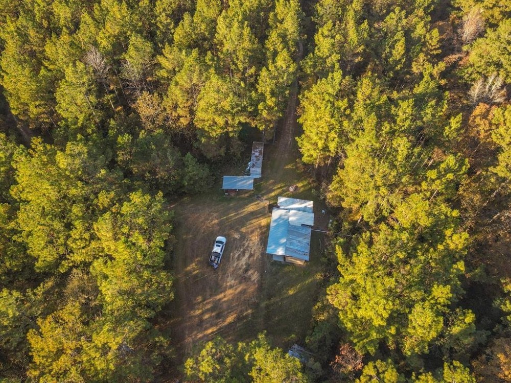40 Acres Land for Sale Surrounded by National Forest SW MS featured image