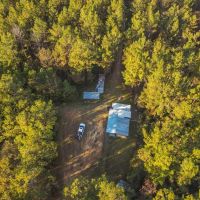 40 Acres Land for Sale Surrounded by National Forest SW MS