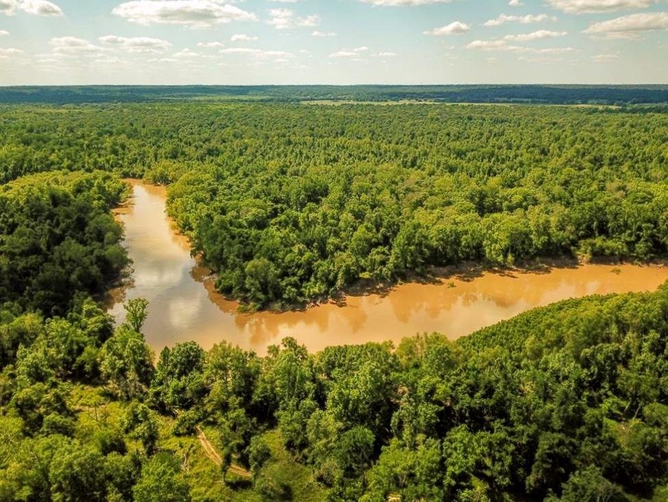 Riverfront Hunting Land for Sale Port Gibson MS featured image