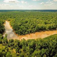 Riverfront Hunting Land for Sale Port Gibson MS