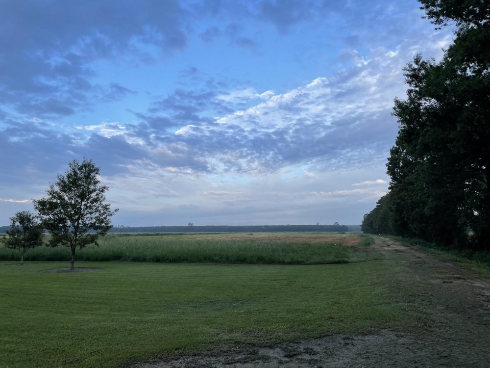 265 Acres Land for Sale Oberlin Allen Parish LA featured image