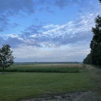 265 Acres Land for Sale Oberlin Allen Parish LA
