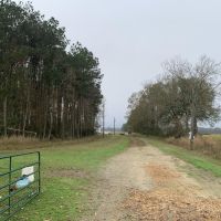 265 Acres Land for Sale Oberlin Allen Parish LA images 2