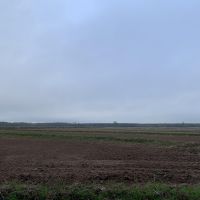 265 Acres Land for Sale Oberlin Allen Parish LA images 3