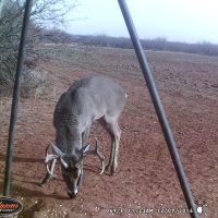 Stonewall County Travel Trailer for FREE