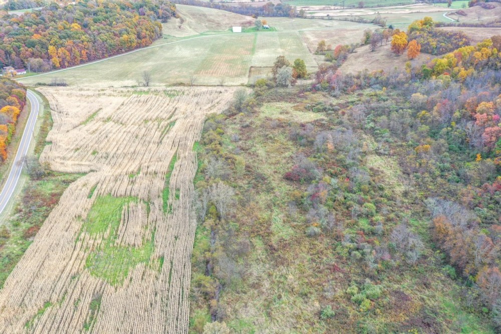 Adamsville Rd Lot 5 - 24 acres - Muskingum County featured image