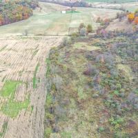 Adamsville Rd Lot 5 - 24 acres - Muskingum County